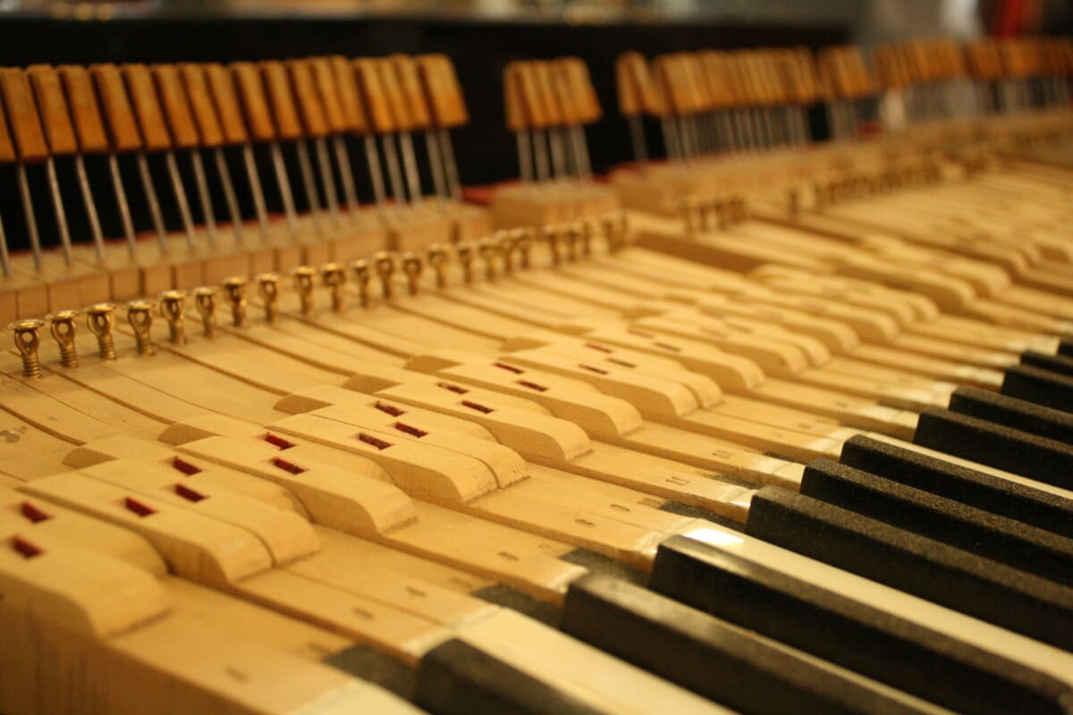 Riparazione pianoforte a Coda
