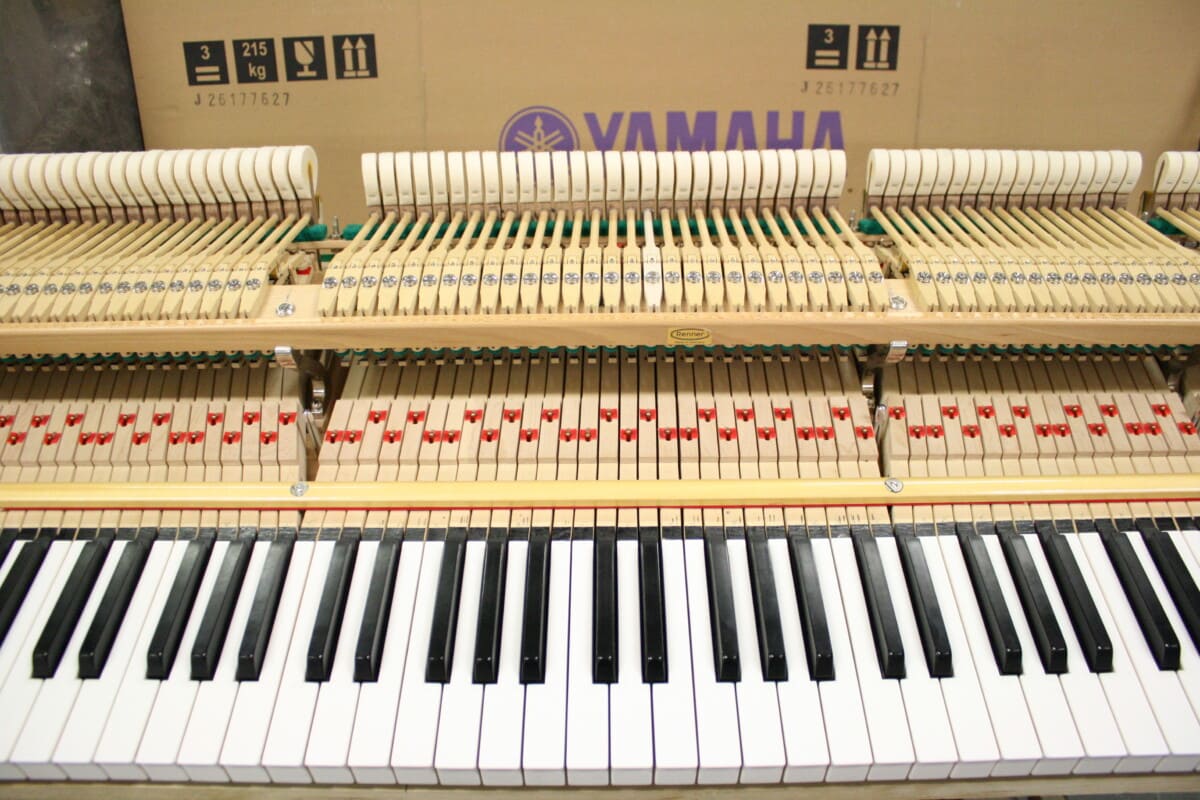 Riparazione pianoforte a Coda