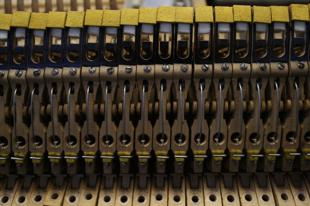 Riparazione pianoforte a Coda